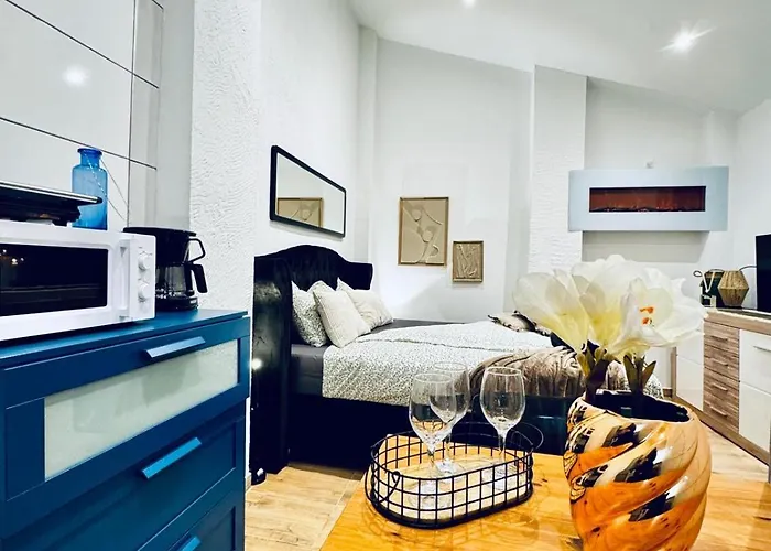 アパート Cozy Studio Apartment In Central Area クロスターノイブルク